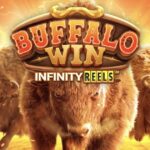 Get To Know The Buffalo Win