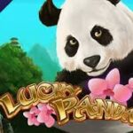 Lucky Panda